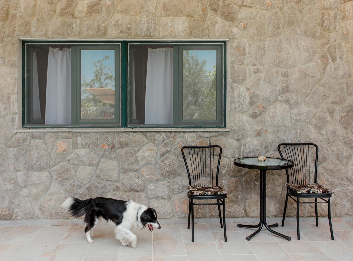 Apartment Panorama Κότορ Εξωτερικό φωτογραφία